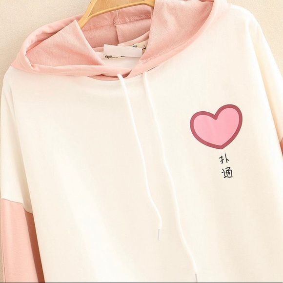 Kawaii Fairyland - Dinosaur Print Color-Block Sleeve Hoodie - Picture 2 of 4